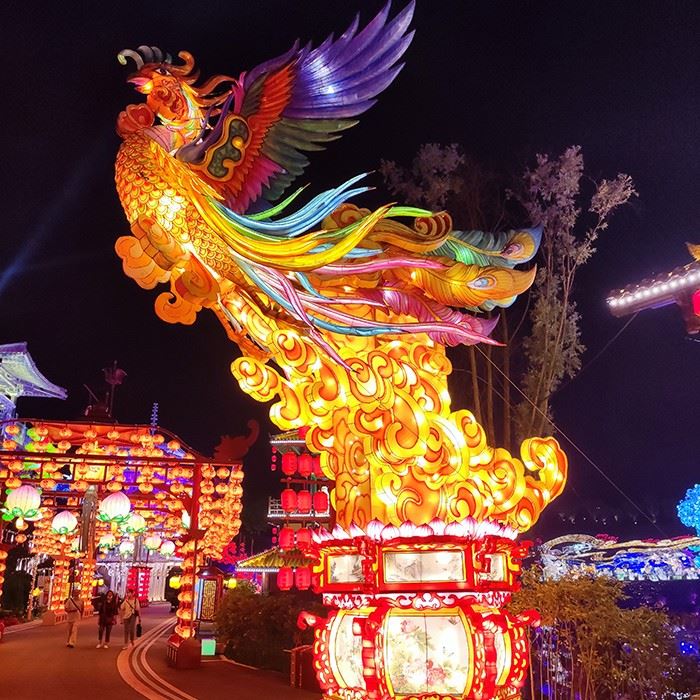 Event Decoration Light Show